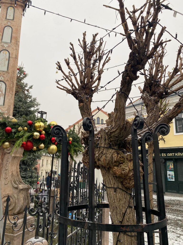 Adventi fényekben pompázik Szentendre számos tere és utcája